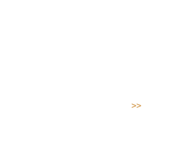 Now available at Morgan Stanley.